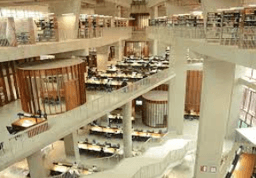 U/G Degree in CSE