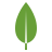 icon5